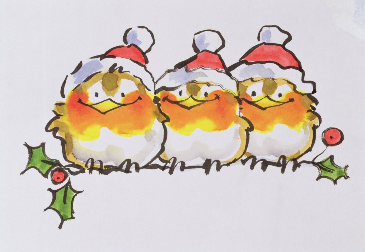 Christmas Robins (tinta és wc papíron) alkotó: Diane Matthes