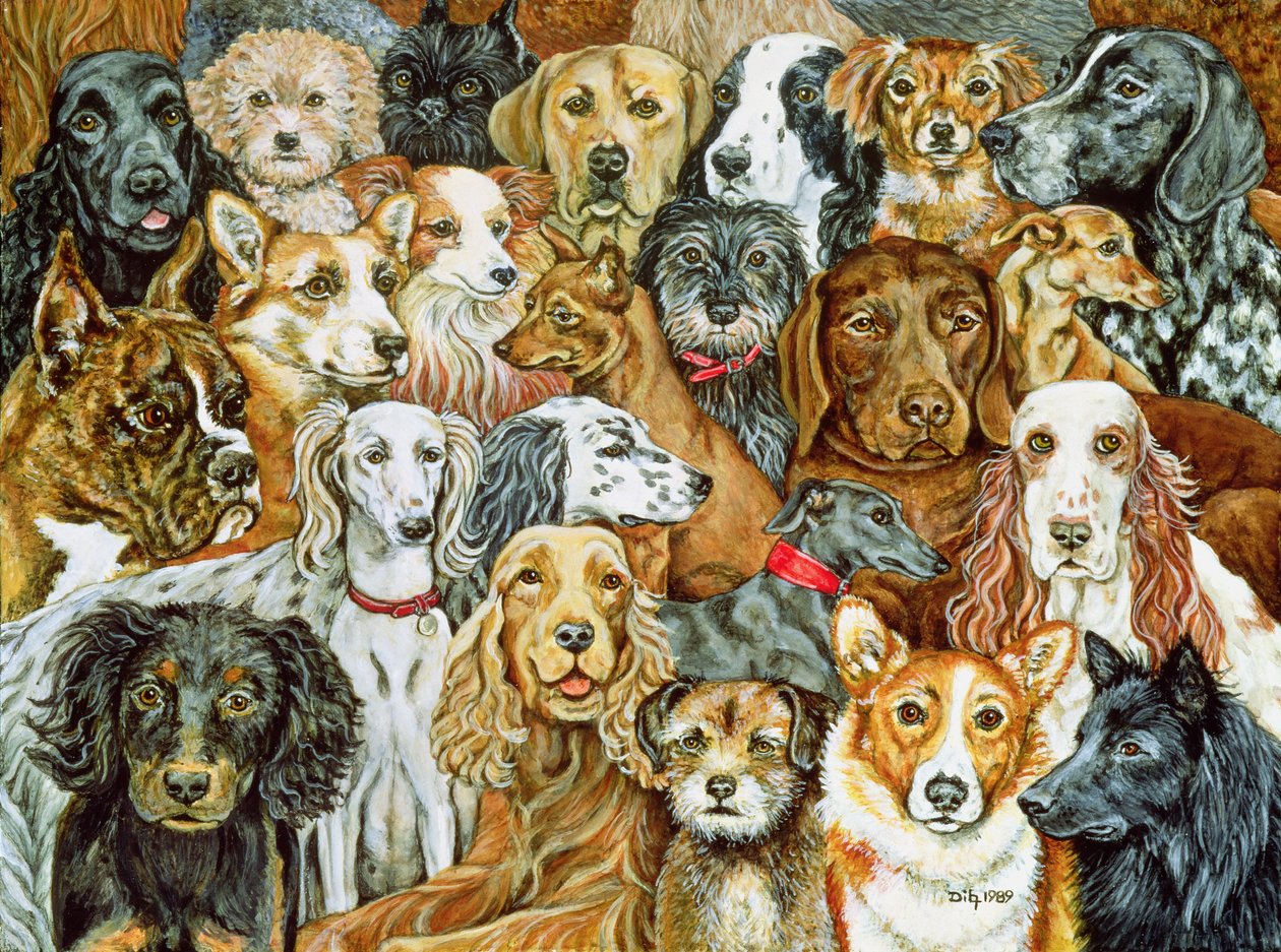 Dog Spread, 1989 alkotó: Ditz