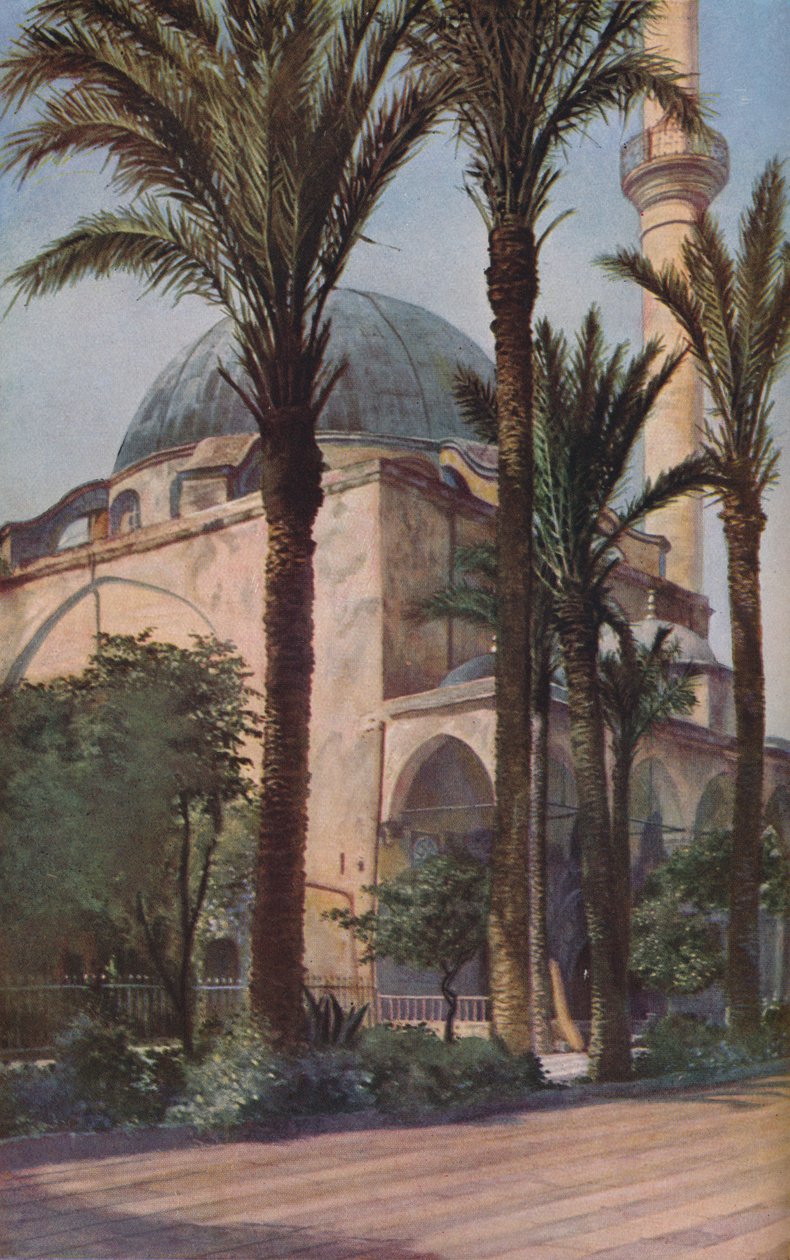 Palesztina, 1930-as évek alkotó: Donald McLeish