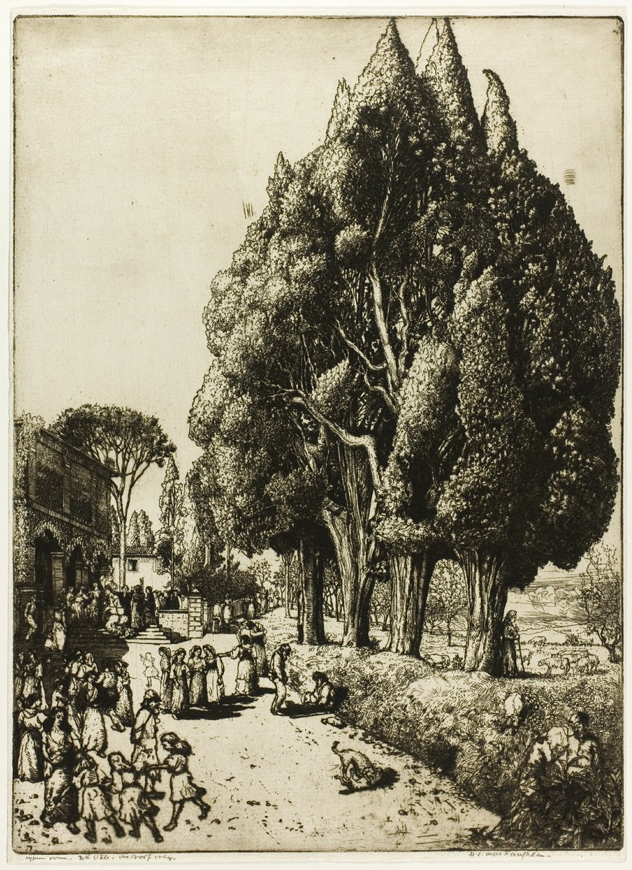 Cypress Grove alkotó: Donald Shaw MacLaughlan