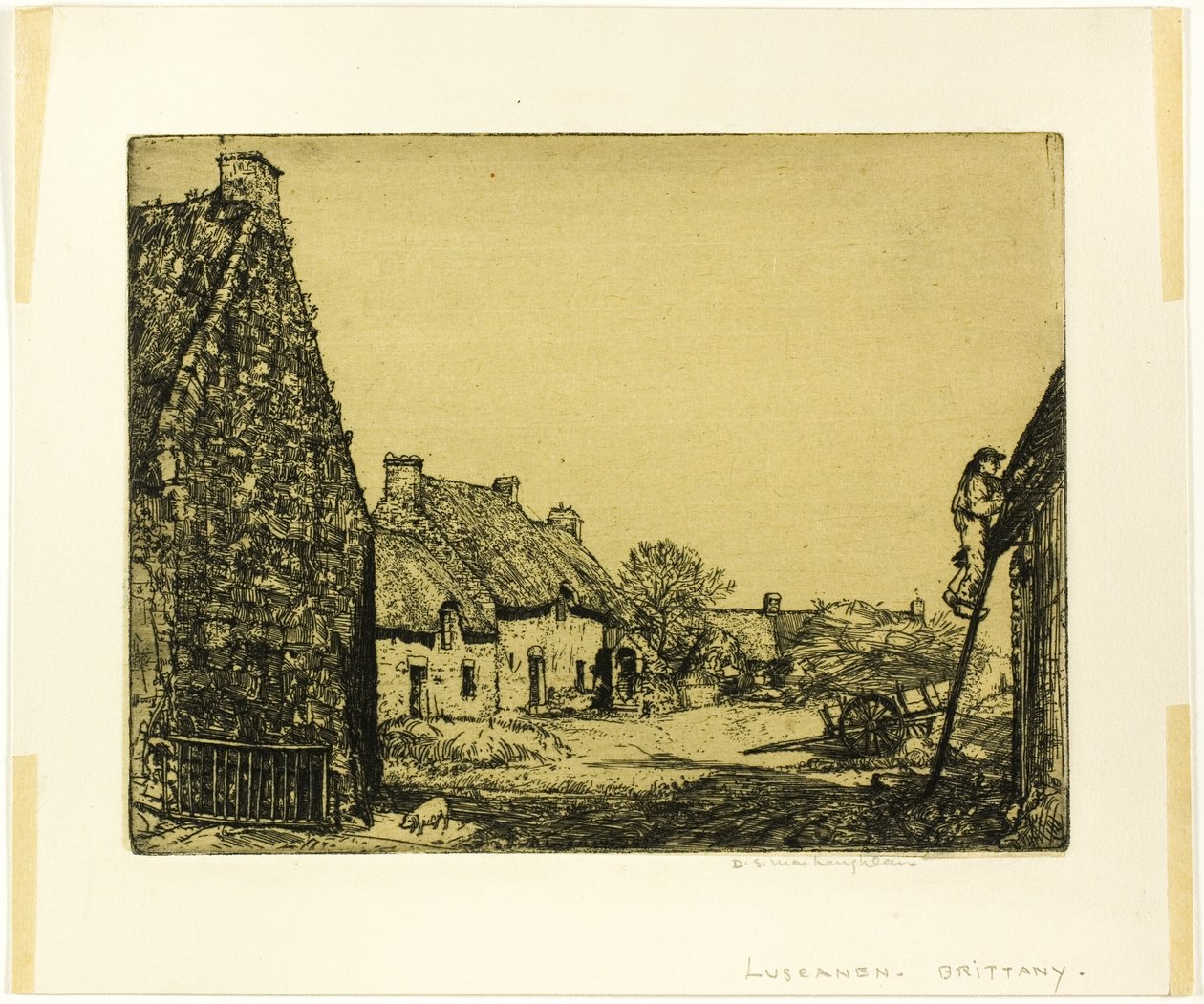 Luscanen, Bretagne alkotó: Donald Shaw MacLaughlan