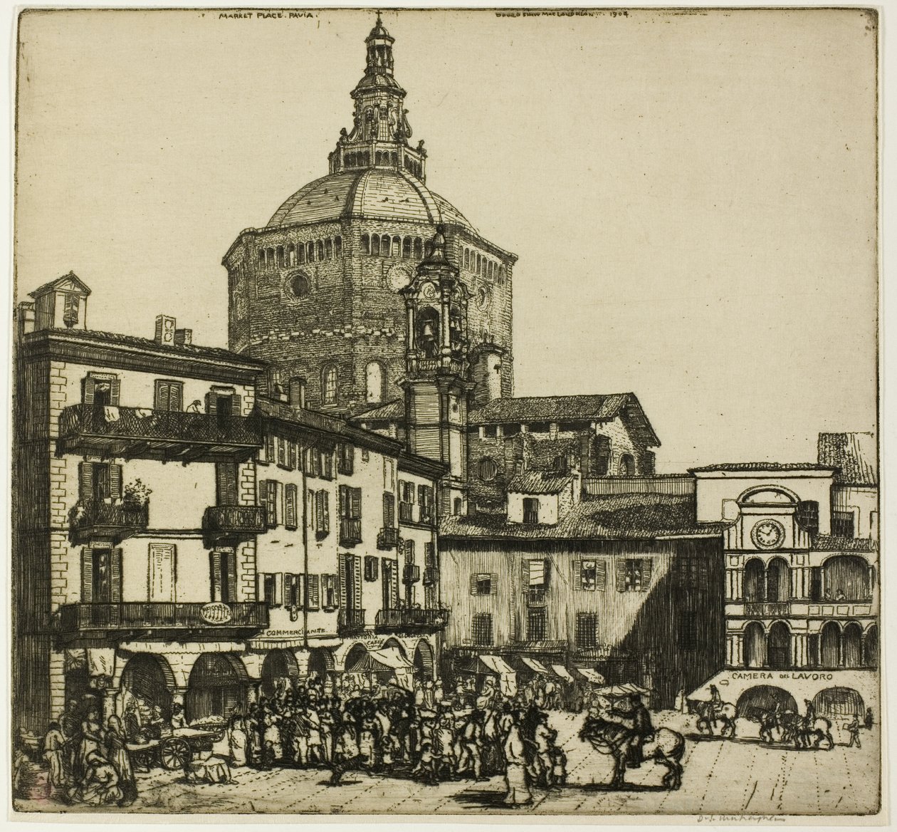 Pavia alkotó: Donald Shaw MacLaughlan