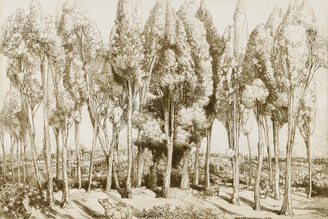 Road Song no. 5 alkotó: Donald Shaw MacLaughlan