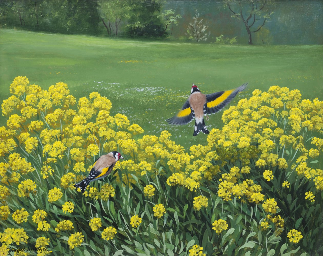 Aranypintyek, 2000 (olaj, tábla) alkotó: Douglas Anderson