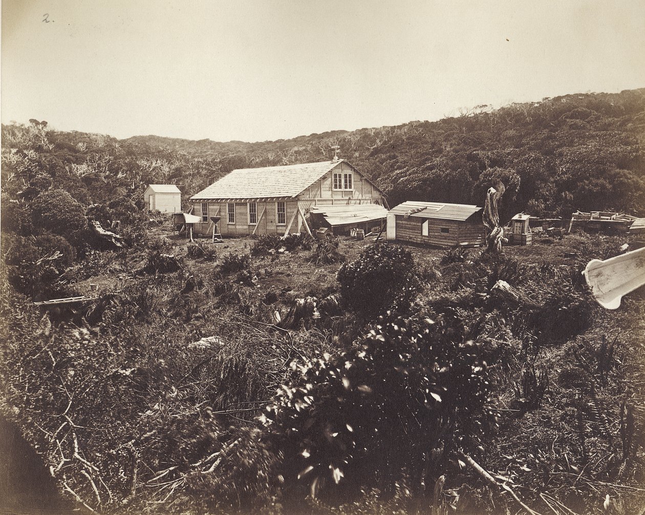 A német Vénusz-átvonulási expedíció, Auckland-szigetek, 1874-75 (albumin nyomat) alkotó: Dr. Guido Wolfram