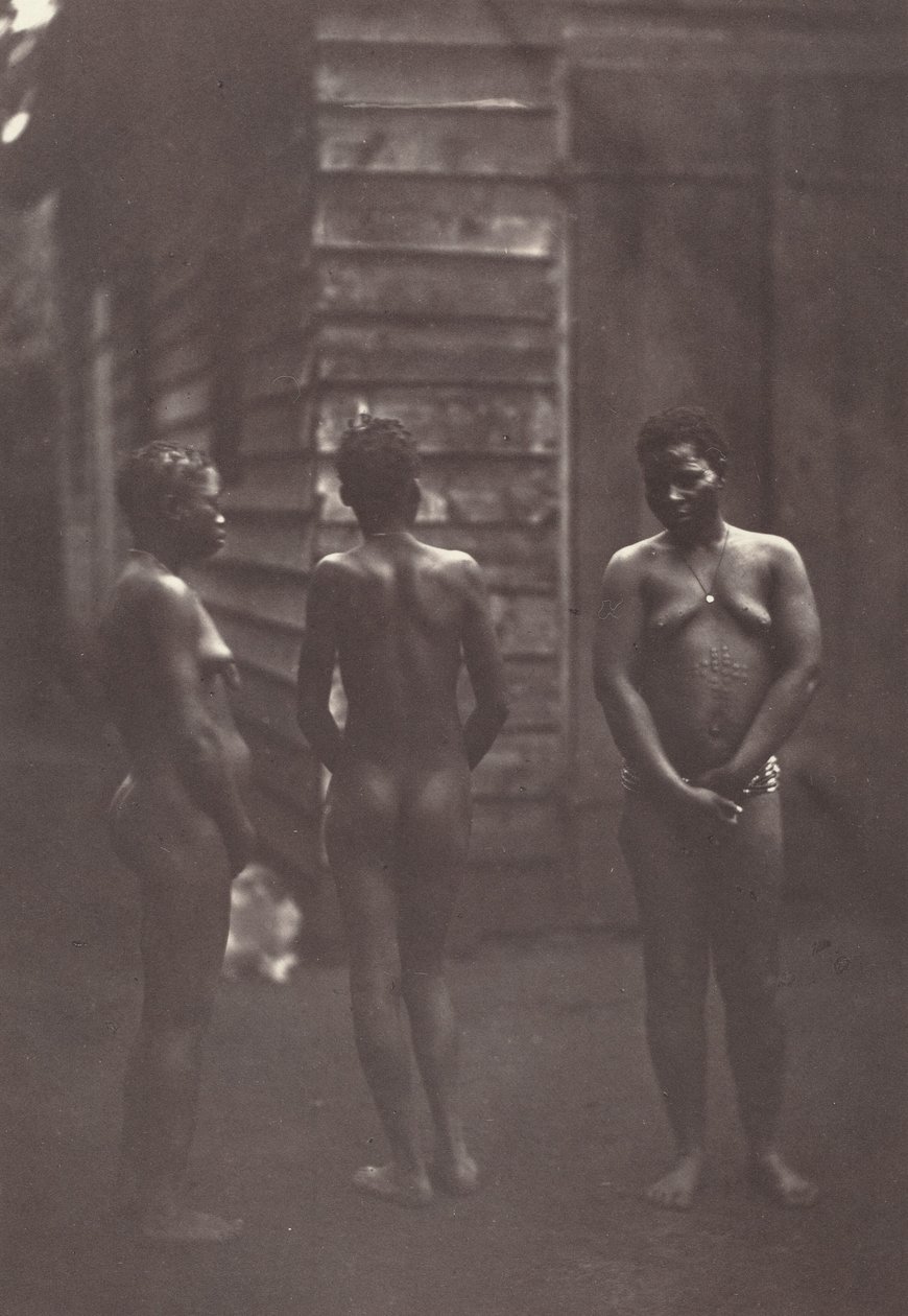 Három madagaszkári nő (30. tábla),1863 (fénykép) alkotó: Désiré Charnay