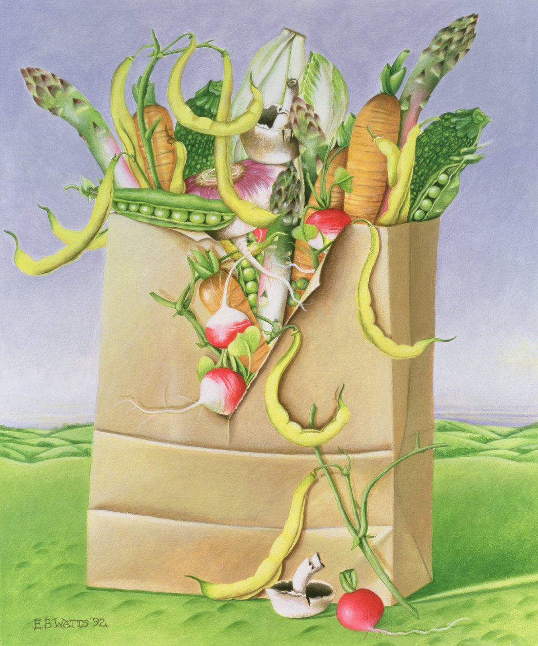 Papírzacskó zöldségekkel, 1992 (akril) alkotó: E.B. Watts