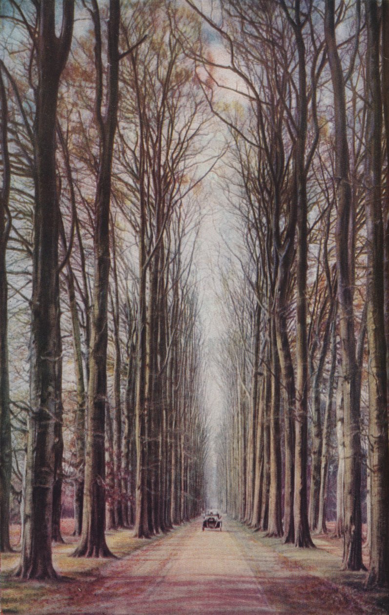 Hollandia, 1930-as évek alkotó: ENA