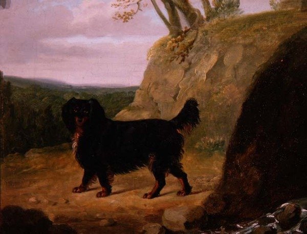 Egy cocker spániel a tájban alkotó: E.W. Gill