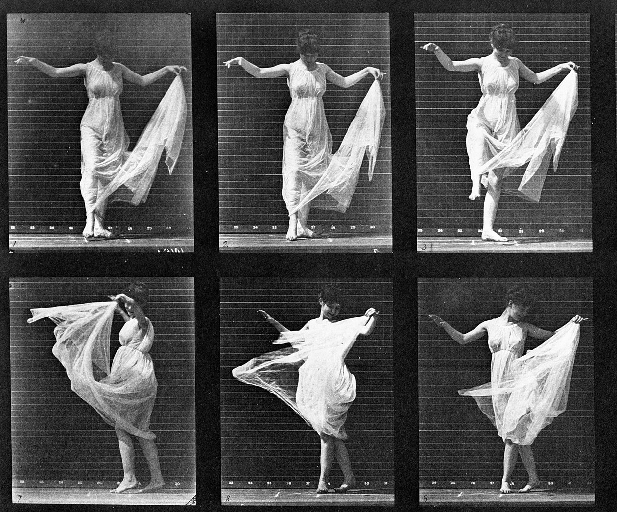 Táncoló nő, 187-es lemez az „Animal Locomotion”-ból, 1887 alkotó: Eadweard Muybridge