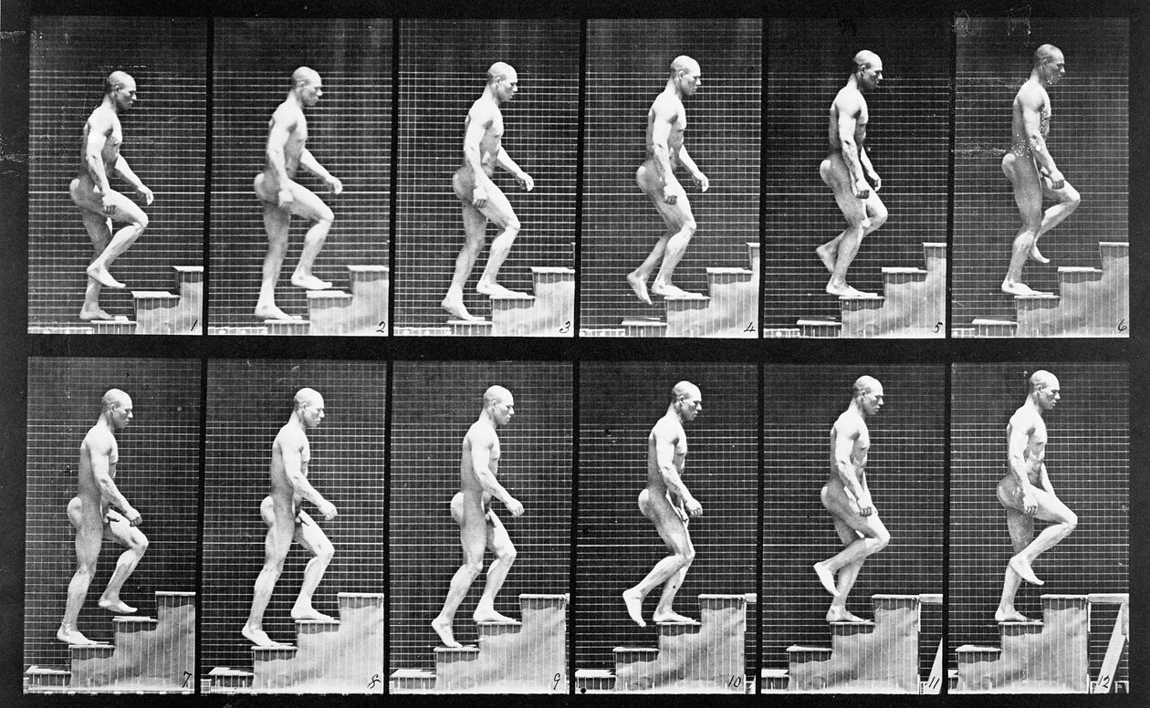 Férfi lépcsőn felfelé, az „Animal Locomotion” című filmből, 1887 alkotó: Eadweard Muybridge