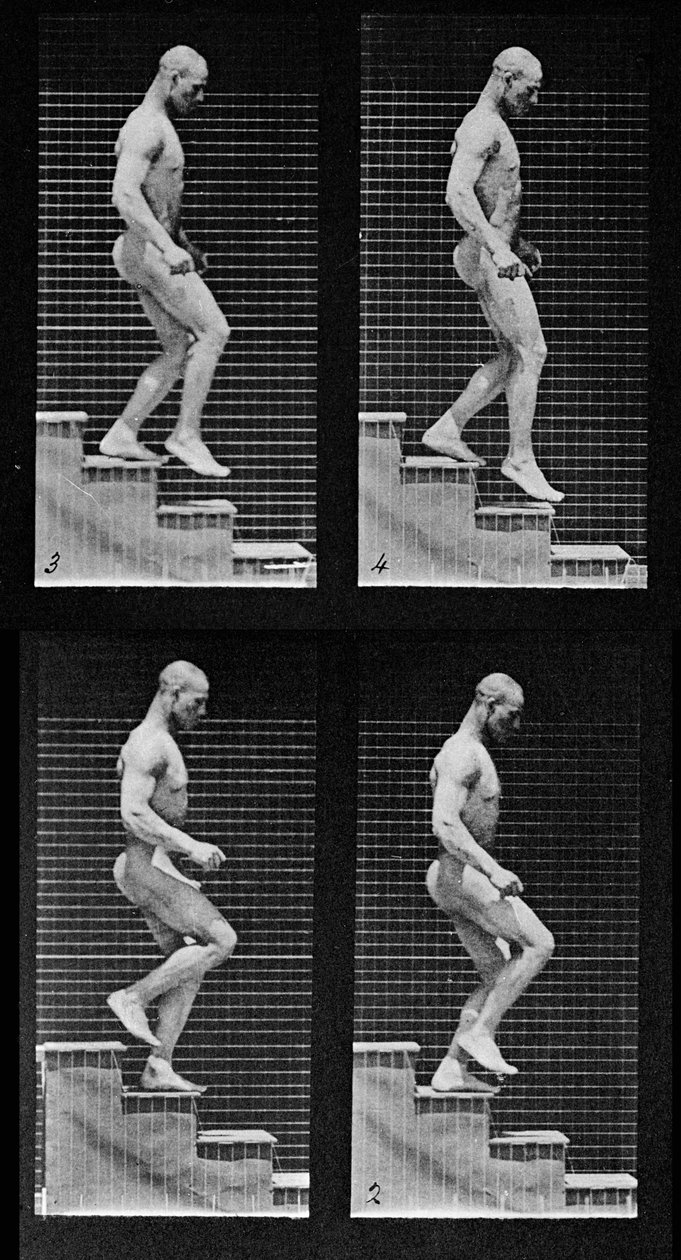 Férfi lépcsőn lefelé, az "Animal Locomotion"-ból, 1887 (425605 részlet) alkotó: Eadweard Muybridge