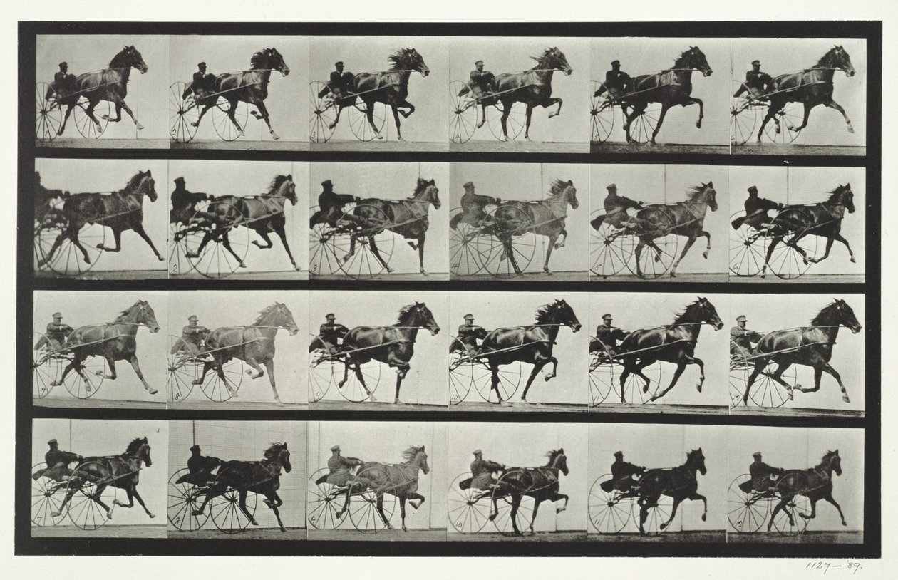 Kocsivezetés, 613-as tábla, „Animal Locomotion”, 1887 alkotó: Eadweard Muybridge