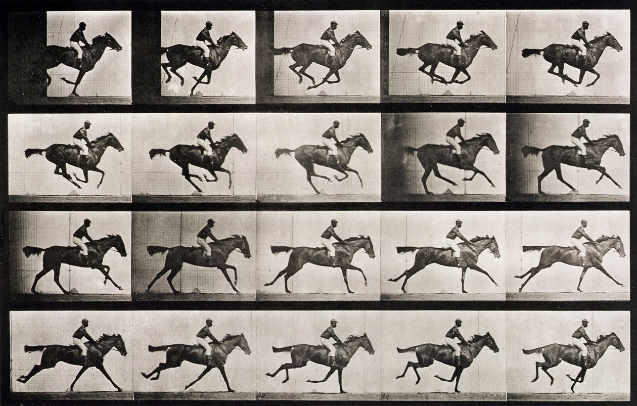 Zsoké vágtató lovon, 627-es tábla az „Animal Locomotion”-ból, 1887 alkotó: Eadweard Muybridge