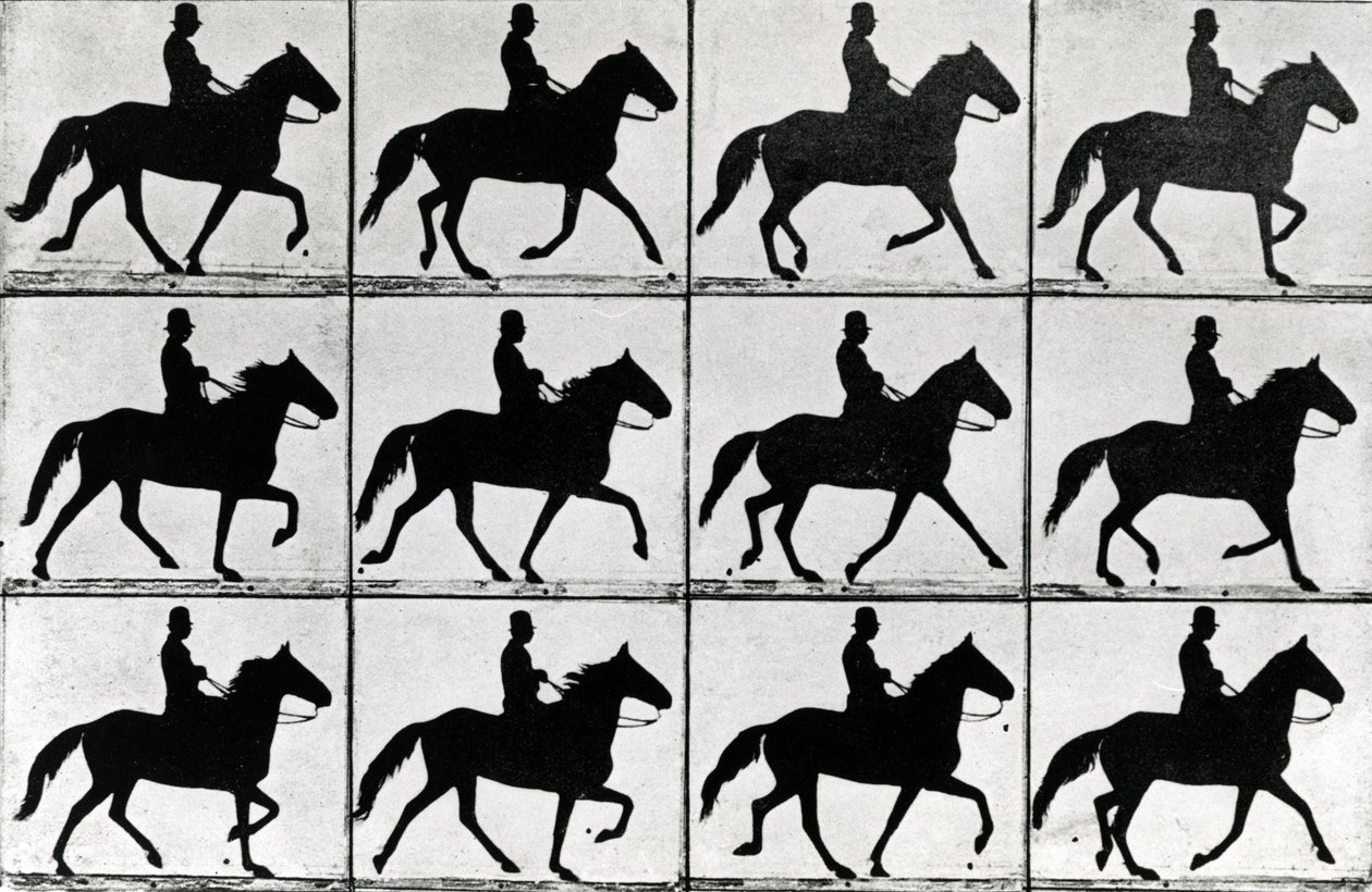One Stride in Eleven Phases, 1881, illusztrációja Eadweard Muybridge „Animals in Motion” című művéből, 1907-es kiadás alkotó: Eadweard Muybridge