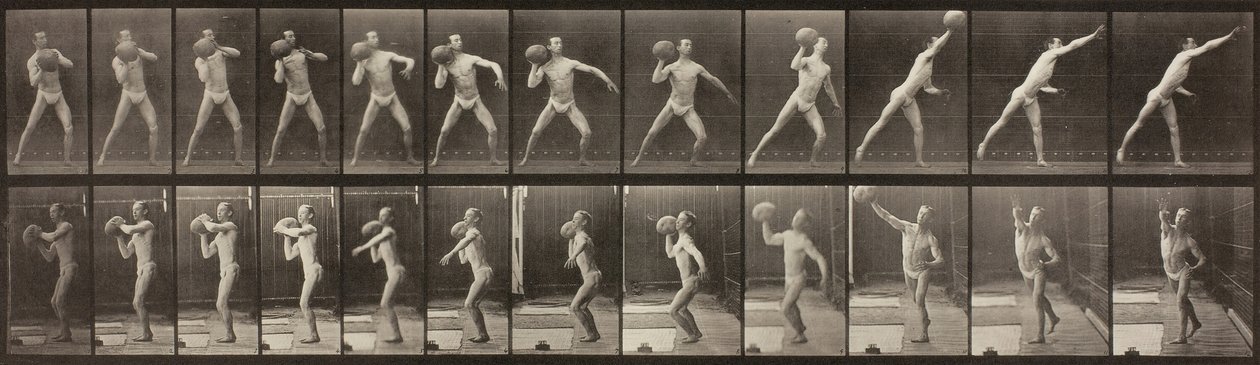 Animal Locomotion, 319. tábla, 1887. alkotó: Eadweard Muybridge