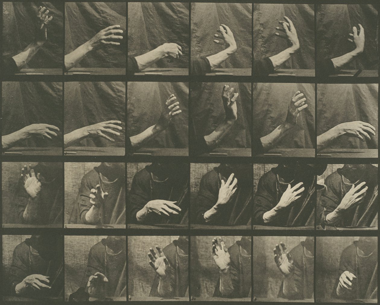 Animal Locomotion, 535. tábla, 1887. alkotó: Eadweard Muybridge