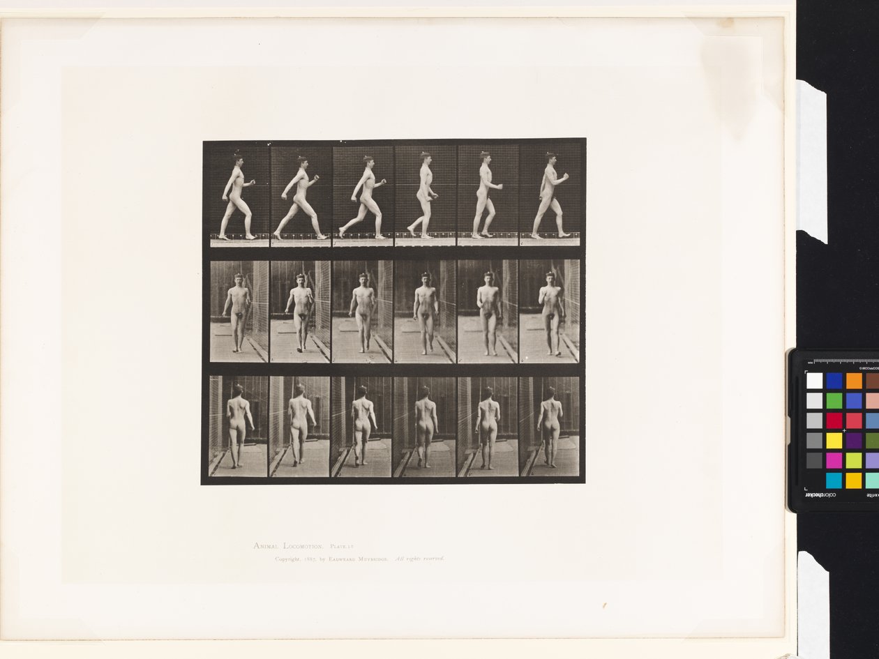 10. tányér.Séta alkotó: Eadweard Muybridge