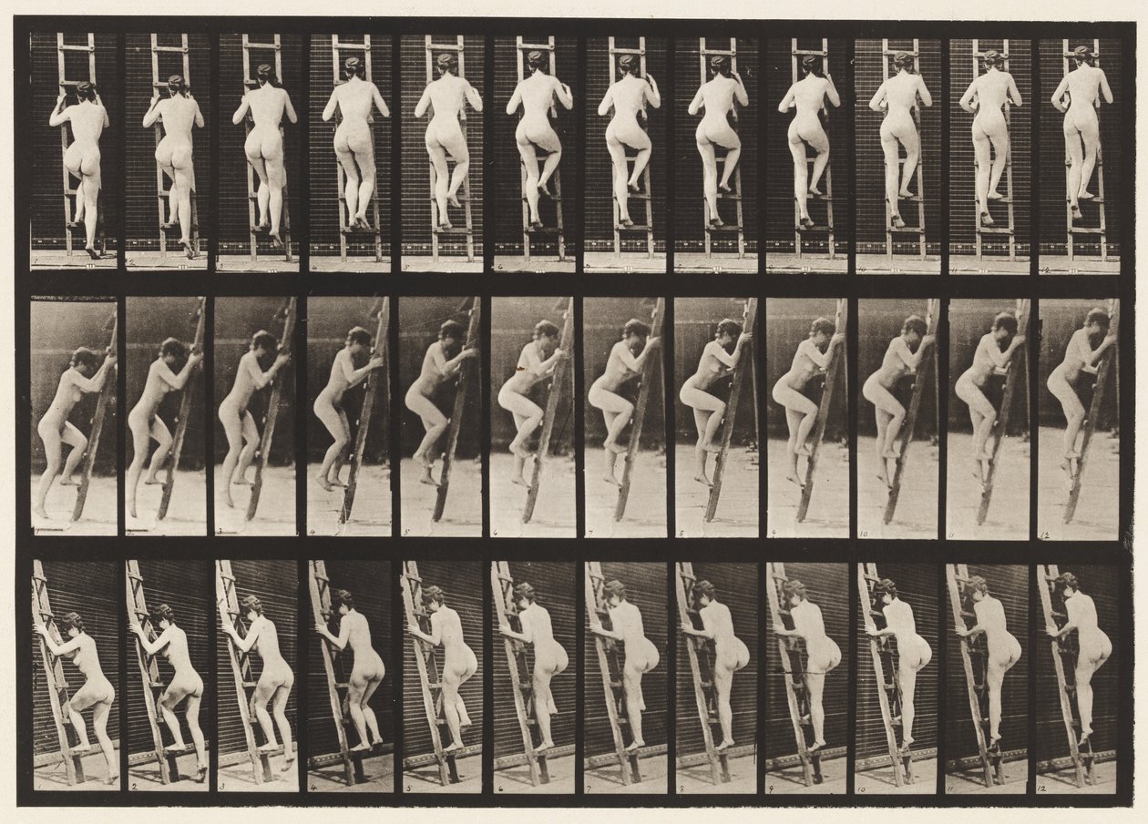 112. tábla. Emelkedő létra alkotó: Eadweard Muybridge