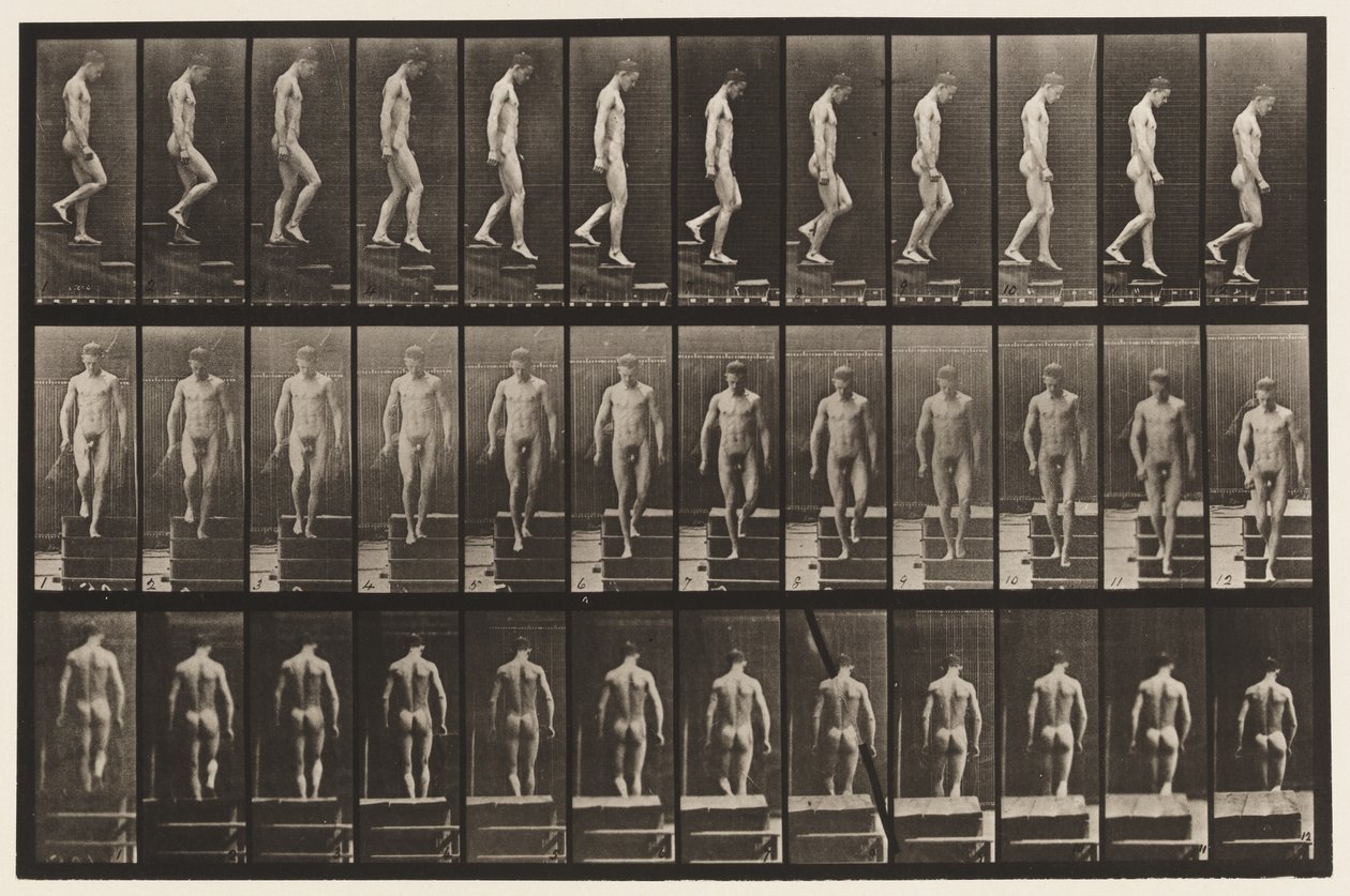 125. tábla. Lemenő lépcsők alkotó: Eadweard Muybridge