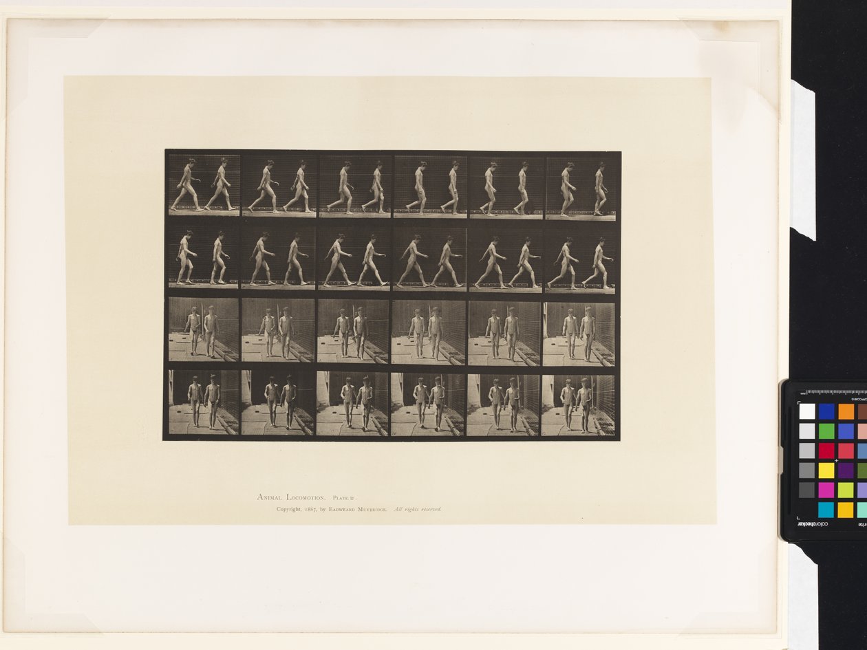 12. tányér.Séta alkotó: Eadweard Muybridge