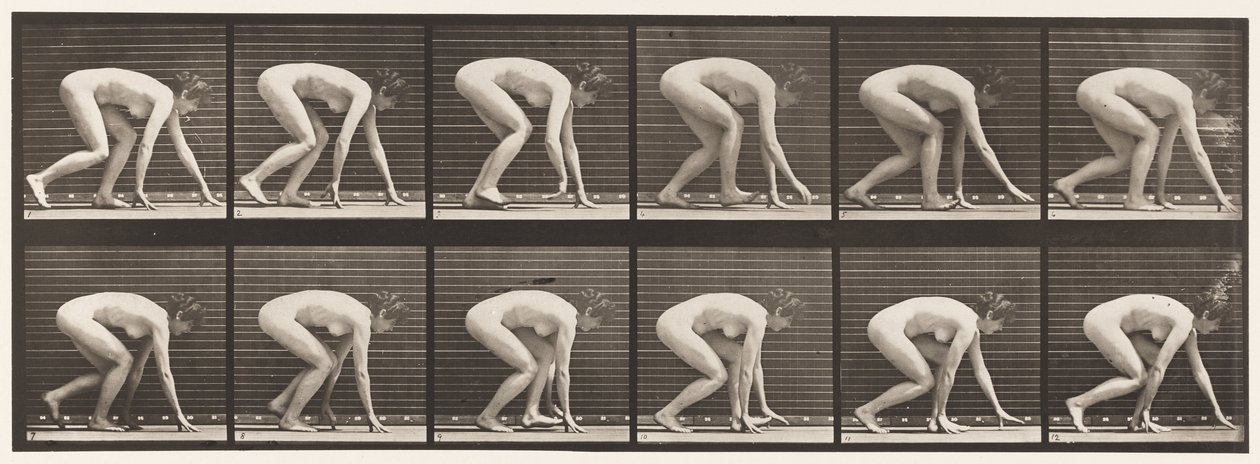 183. tábla. Kézen és lábon járás alkotó: Eadweard Muybridge