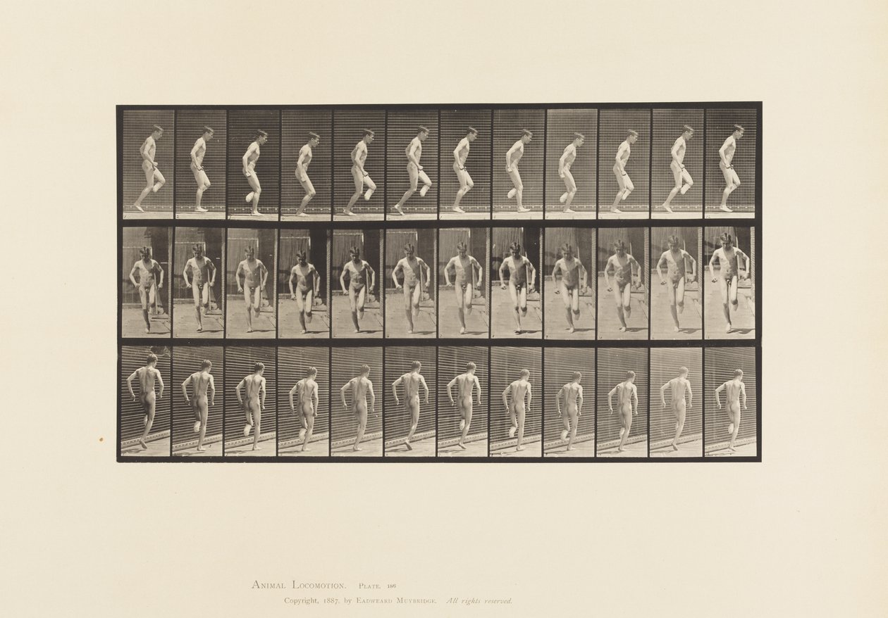 186. tábla. Jobb lábon ugrás, 1885 alkotó: Eadweard Muybridge