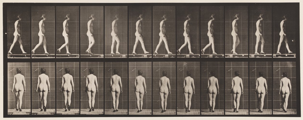 25. tábla. Séta, magas sarkú cipővel alkotó: Eadweard Muybridge