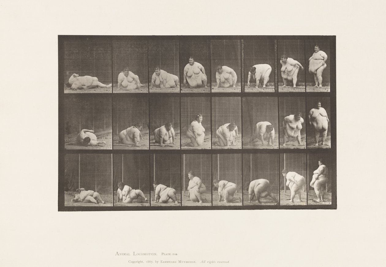 268. tábla.Földről kelve, 1885 alkotó: Eadweard Muybridge