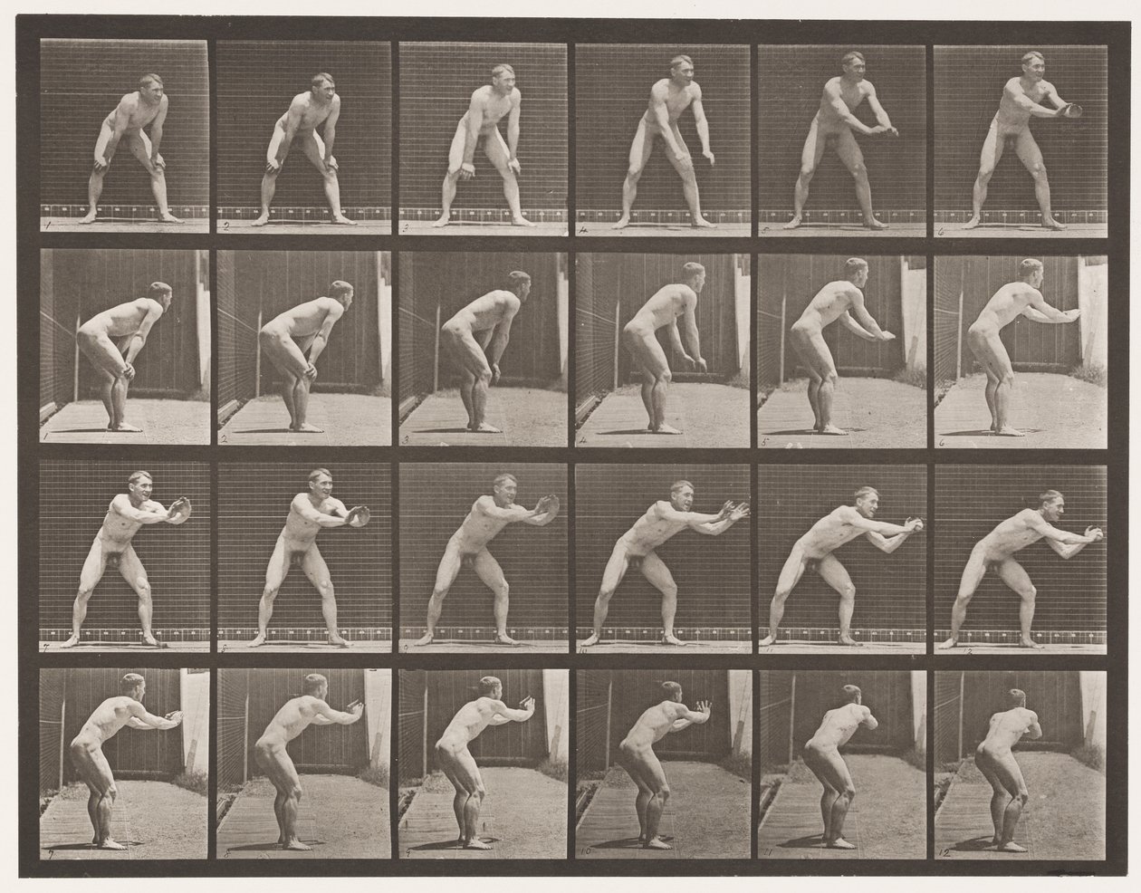 280-as tányér.Alaplabda; Fogás, 1885 alkotó: Eadweard Muybridge