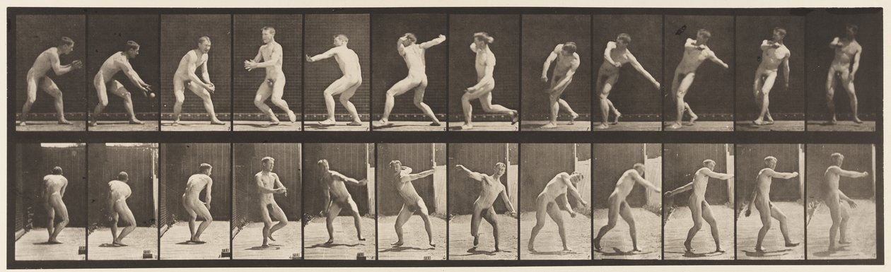 284. tányér.Alaplabda; Fogás és dobás, 1885 alkotó: Eadweard Muybridge