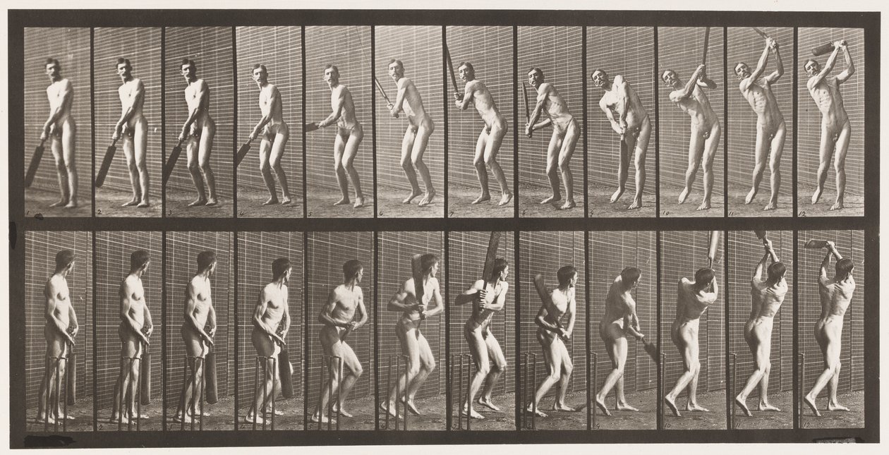 291. tányér.Tücsök; Ütőkezelés; Drive, 1885 alkotó: Eadweard Muybridge