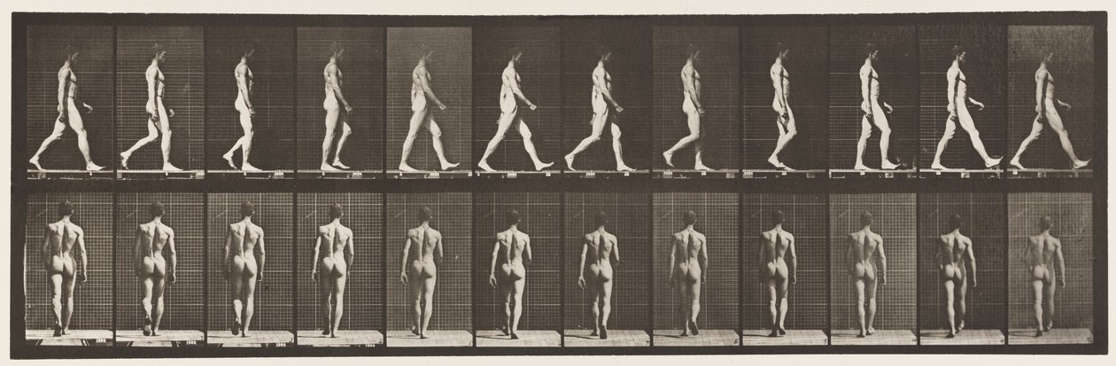 2. tábla Séta, 1872-1885 alkotó: Eadweard Muybridge