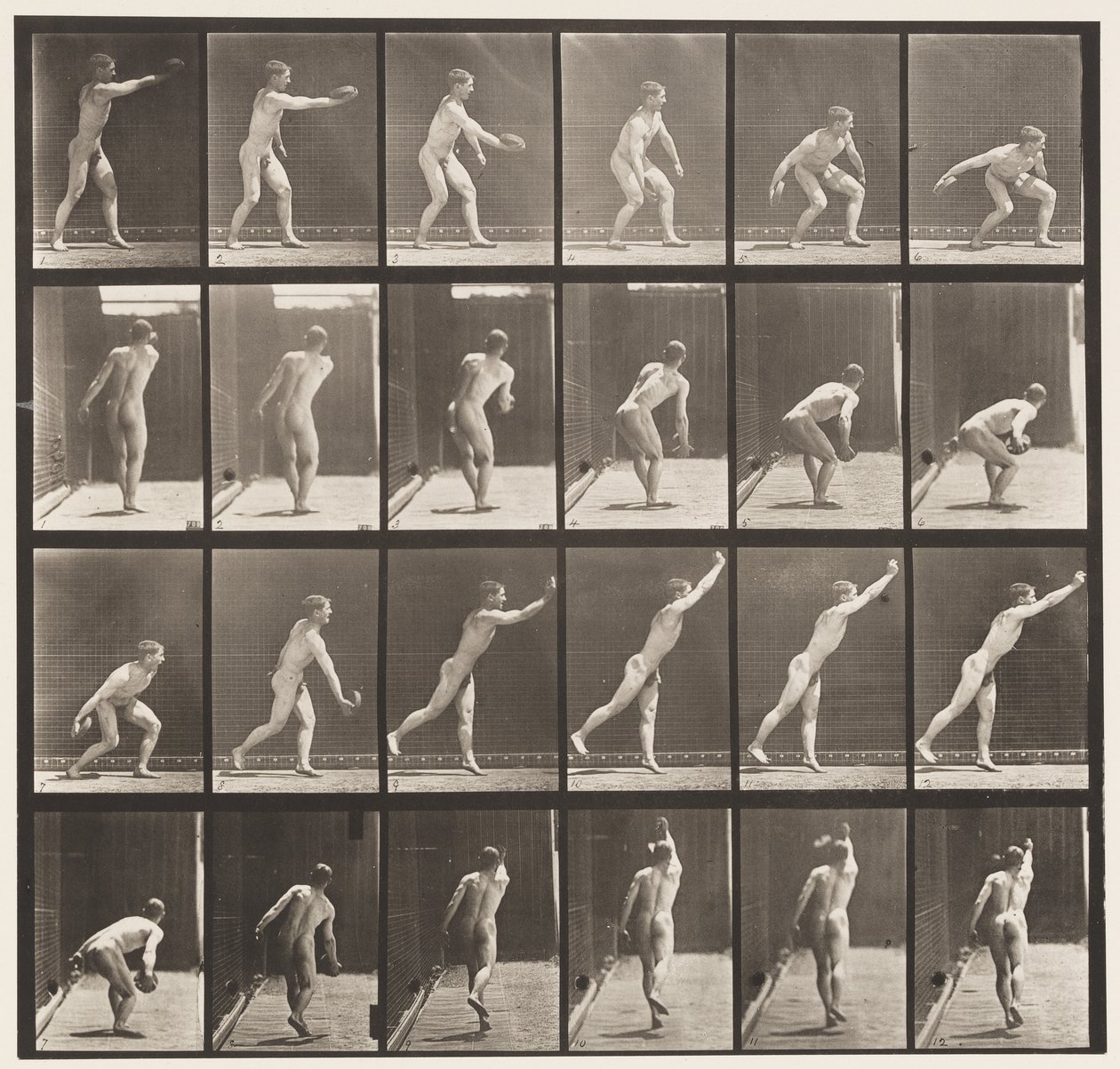 307. tábla Vaskorong dobása, 1872-1885 alkotó: Eadweard Muybridge