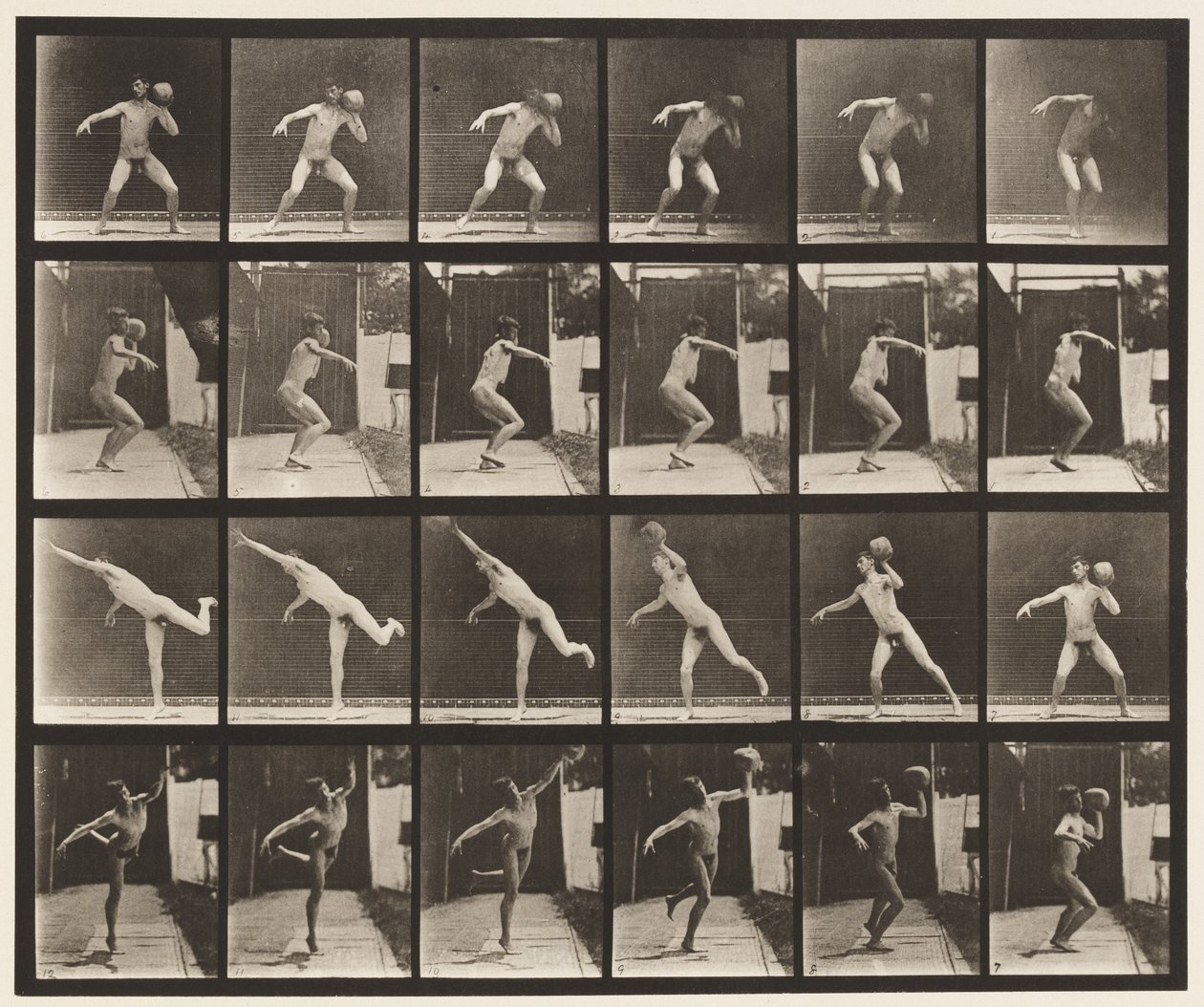 315. tányér. 20 font súlyú szikla felemelése alkotó: Eadweard Muybridge