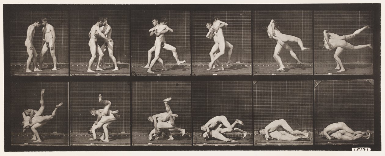 347. tábla. Birkózás, görög-római, 1885 alkotó: Eadweard Muybridge