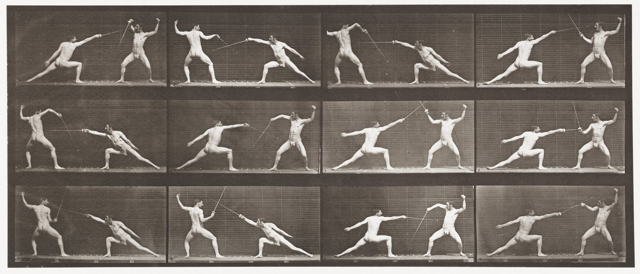 349. tábla Vívás, 1872-1885 alkotó: Eadweard Muybridge