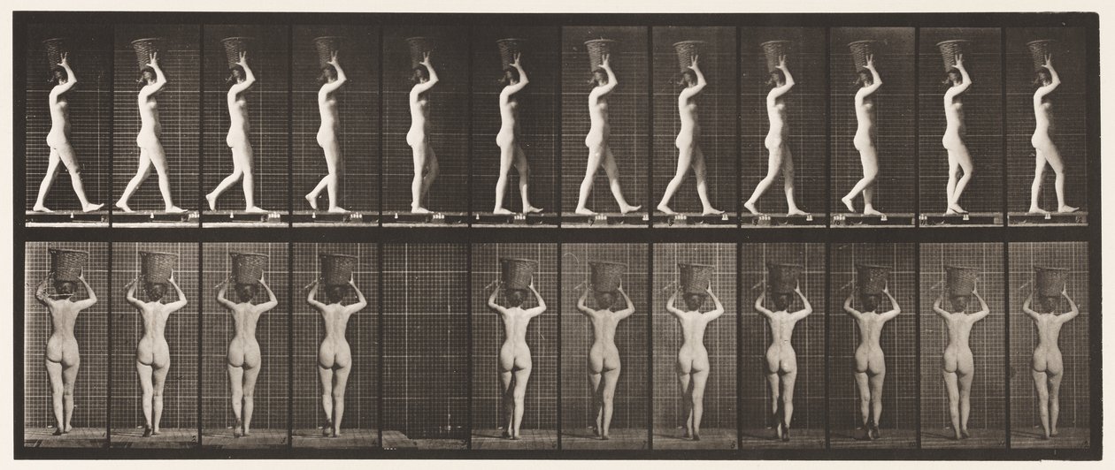 34. tábla. Séta alkotó: Eadweard Muybridge