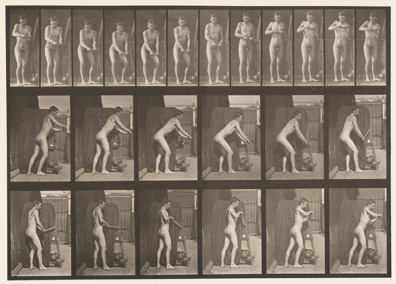 395. tányér. Forgatókar forgatása alkotó: Eadweard Muybridge