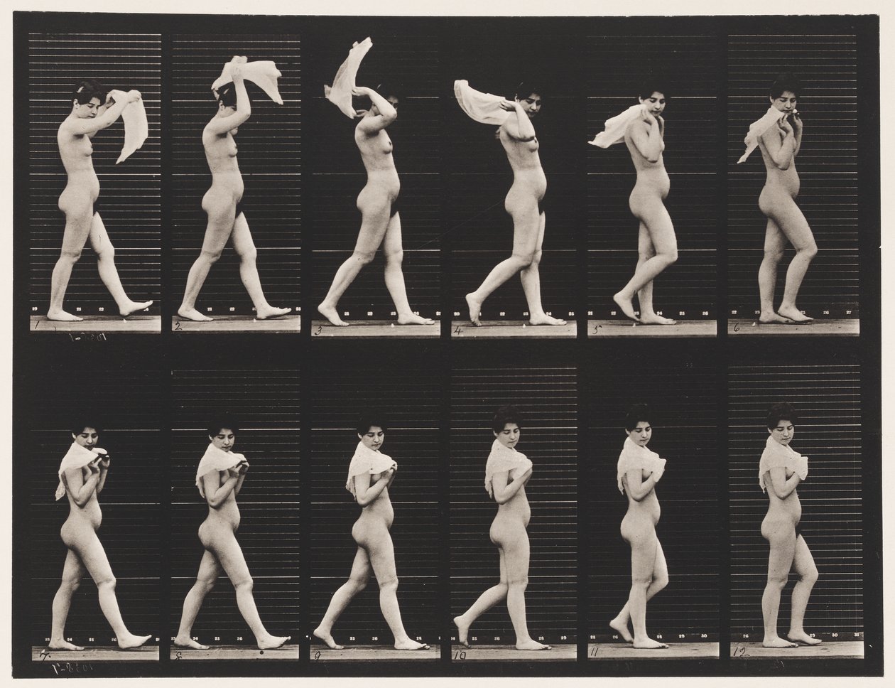 40. tányér. Séta, zsebkendő vállra dobása alkotó: Eadweard Muybridge