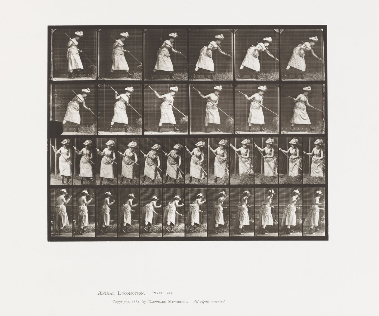 456. tábla. A helyezés: 165 alkotó: Eadweard Muybridge