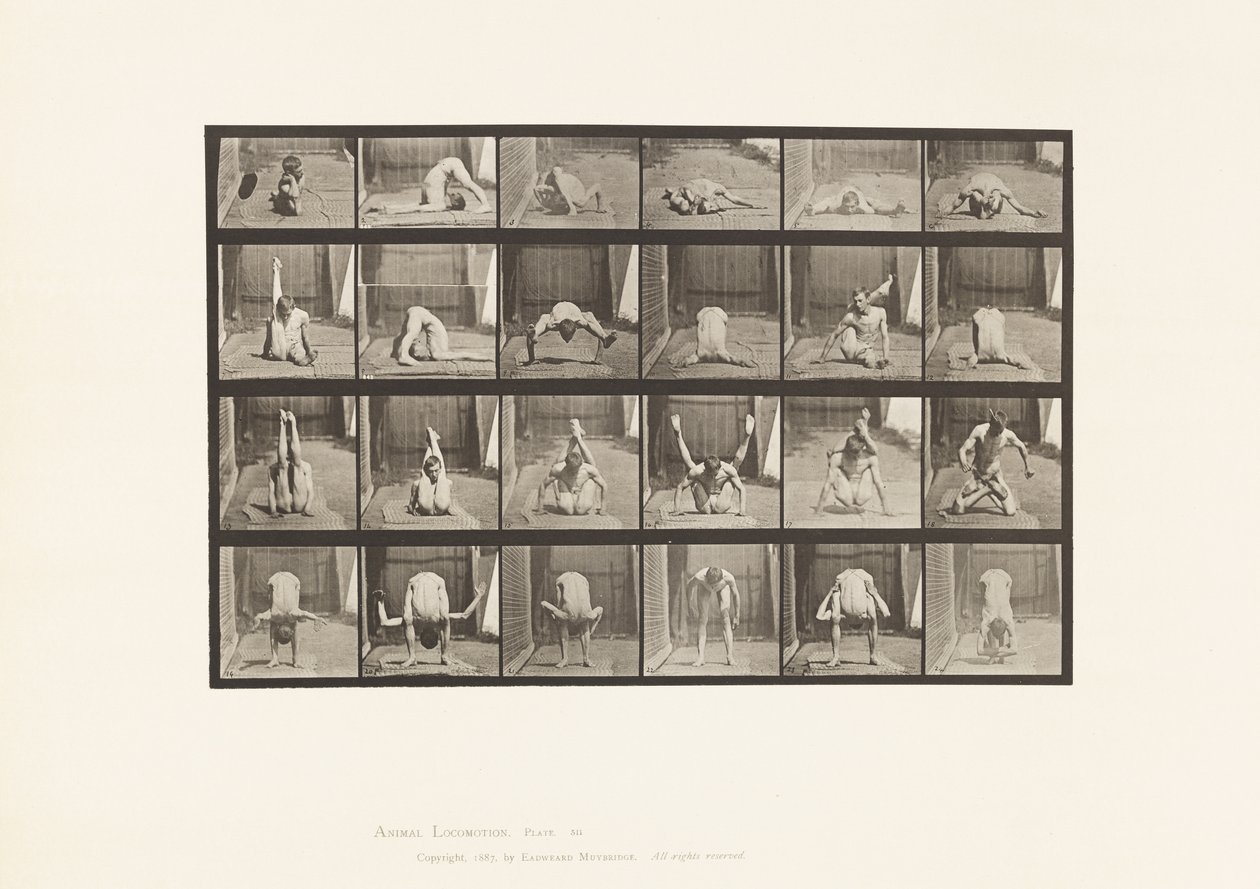 511. tábla. Eltorzulások a talajon alkotó: Eadweard Muybridge