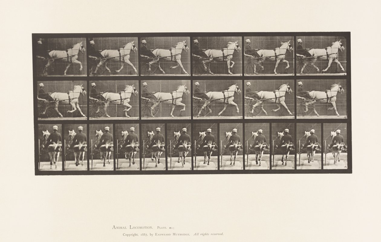 Tányér 611. Ügető; Duzzogó; Szürke Kanca, Katydid alkotó: Eadweard Muybridge
