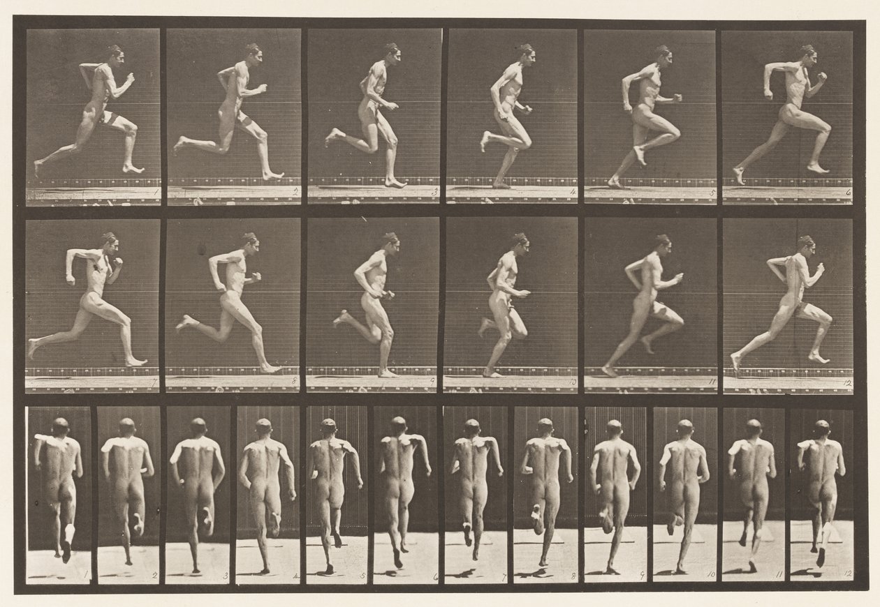 62. tábla. Teljes sebességgel futás., 1872-1885 alkotó: Eadweard Muybridge