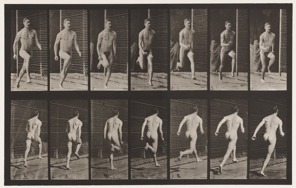 66. tábla Futás alkotó: Eadweard Muybridge