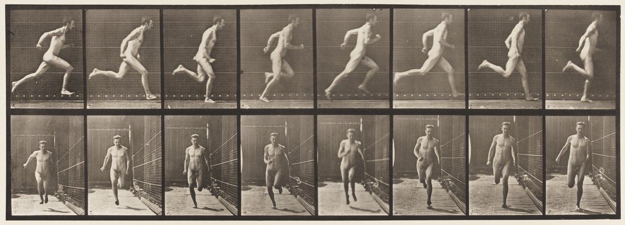 67. tábla Futó, 1872-1885 alkotó: Eadweard Muybridge