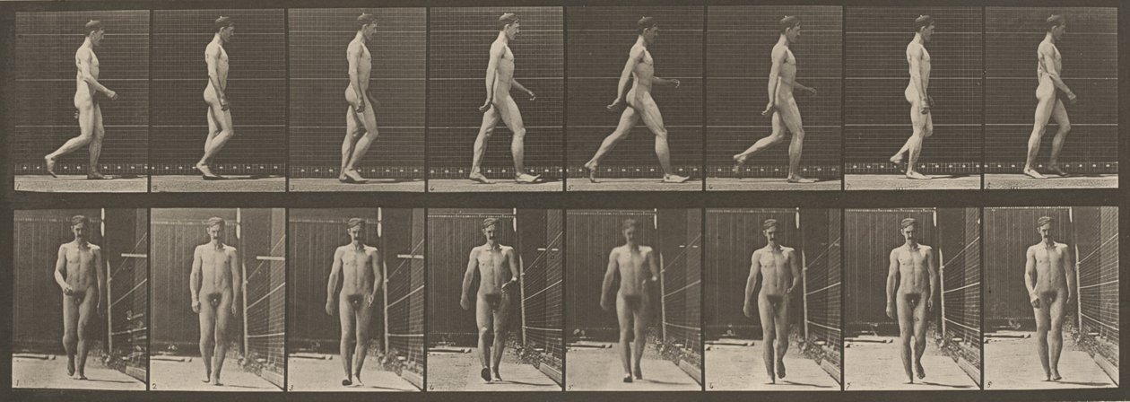Az 5. tányérszám. Séta,1887 (fotó) alkotó: Eadweard Muybridge