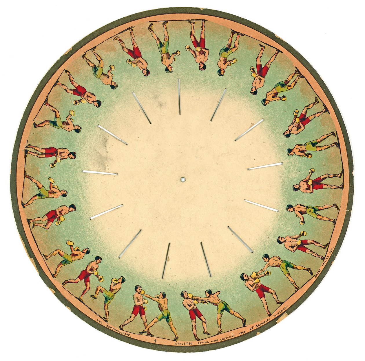 zoopraxiscope lemez, amelyen férfiak bokszolnak, 1893 alkotó: Eadweard Muybridge