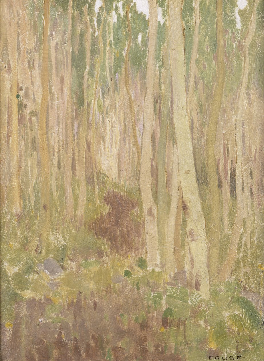 Aspen szimfónia, 1902 alkotó: Eanger Irving Couse
