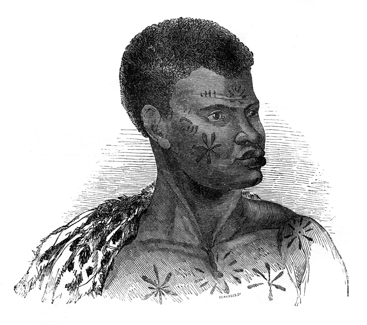 Mozambikban született, 1848. alkotó: Ebenezer Landells